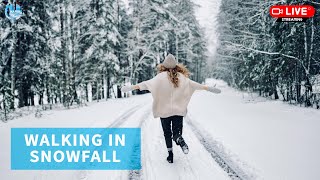 24/7 Live From Relaxing Film ASMR: Walking in Snowfall