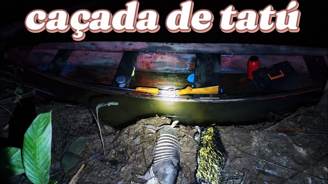 Caçada de casco com abate de tatú e quandu, vejam! Mostrei o preparo também 