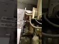 Amazing Cutting Huge Bar #shorts #machinelearning #wirecuttingmachine