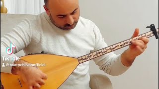 Talat Pehlivan-Gel ha gönül havalanma