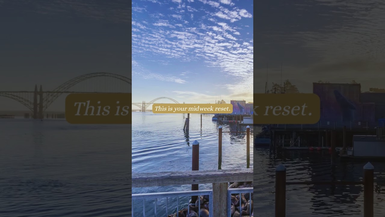 Midweek Reset You Didn’t Know You Needed | Waterfront Dining in Newport Oregon 🌊🦭