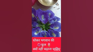 फूल को धोकर भगवान को क्यों नहीं चढ़ाना चाहिए #shortvideo #shortsyoutube