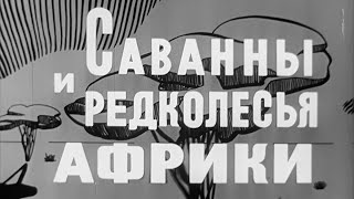 Школфильм - Саванны и Редколесья Африки скан 16мм