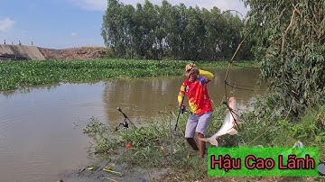 Câu cá Tra sông| Trở lại điểm cũ kênh Mười tải, Tập 44 - Hậu Cao Lãnh