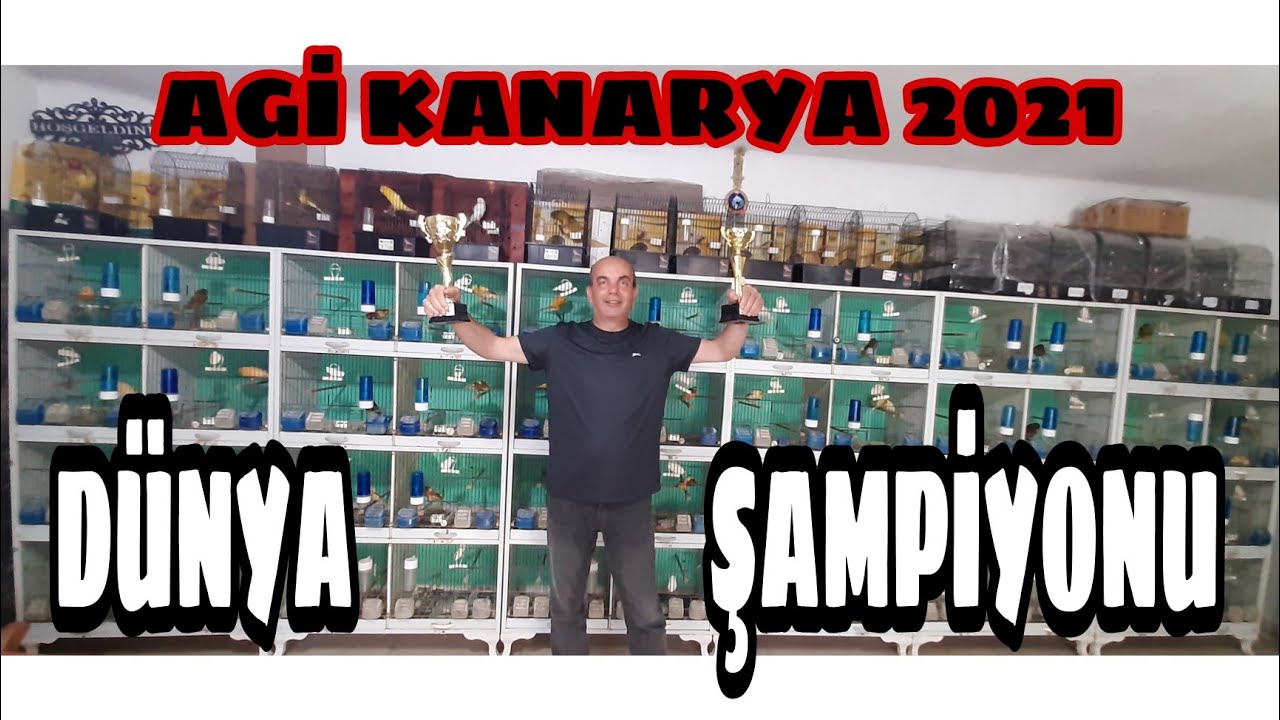 AGİ KANARYA DÜNYA ŞAMPİYONU UĞUR ASLAN KÜMESLERİ