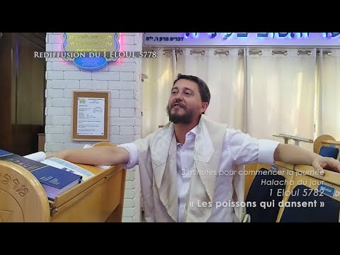 3MN DE TORAH POUR COMMENCER LA JOURNÉE - LES POISSONS QUI DANSENT