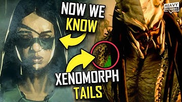 PREDATOR Killer of Killers (2025)  Breakdown | Ending Explained, Easter Eggs, Credits Scene & Review