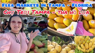 Du lịch Tampa Florida-Trải nghiệm đi chợ trời lớn nhất vùng Tampa Florida bán những gì
