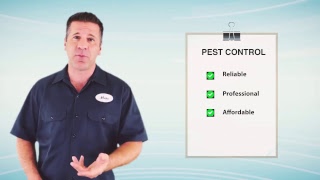 Affordable Pest Control Yakima