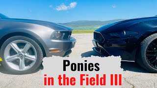 Ford Mustang GT 2019 750 HP Roush & GT 2010 | Ponies in the Field III