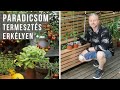 Paradicsom termesztés erkélyen | kert TV