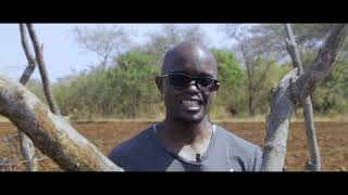 ULIMI tomato farming with Mr  Chanda S1 EP13