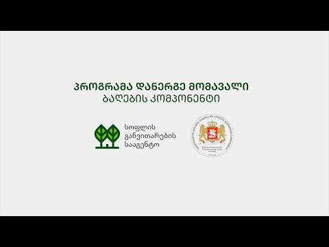 ვიდეო გზამკვლევი პროგრამაში \"დანერგე მომავალი\" განაცხადის შესავსებად