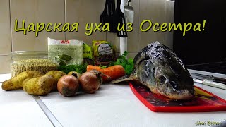 Царская уха из Осетра! 4K.