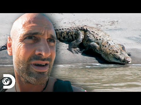 Nadando em águas onde há muitos crocodilos | Ed Stafford: O Sobrevivente | Discovery Brasil