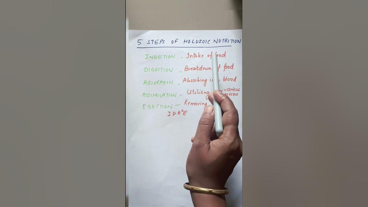 Steps Of Holozoic Nutrition class10 nutritiontips biology ncert steps-of-holozoic-nutrition-class10-nutritiontips-biology-ncert