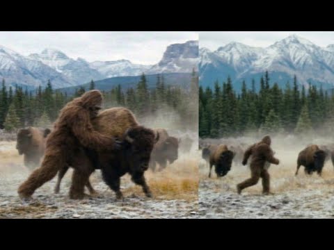 Shakira - Whenever, Wherever (Official HD Video)