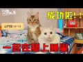 【豆鬥榮EP13】 貓奴最爽成就達成！