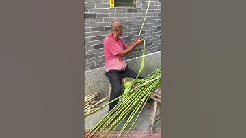 Traditional Way to Process Jute Fiber