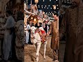 Qurbani #viralvideo #architecture #love #fyp #foryou