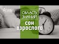 Как сон влияет на продолжительность жизни человека? Лекция врача-сомнолога Михаила Полуэктова