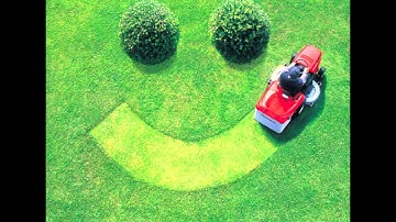 KIller Robots from Venus by Arrogant Worms