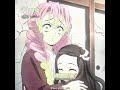 as pessoas na descrição #demonslayer #kimetsunoyaiba #anime #nezukochan #mitsurikanroji