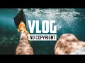 DayFox - Lioness (Vlog No Copyright Music)