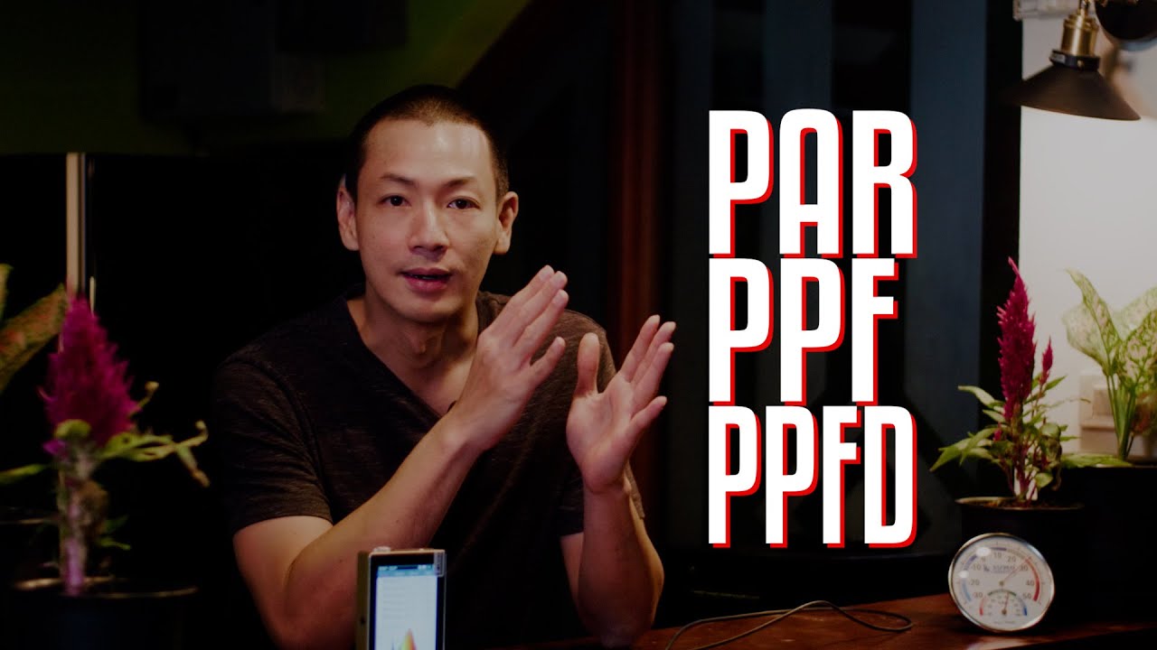 par ย่อมาจาก New Update ปลูกต้นไม้ด้วยไฟปลูกควรจะรู้ค่าอะไรบ้าง PAR PPF PPFD หิวแสงChannel EP3