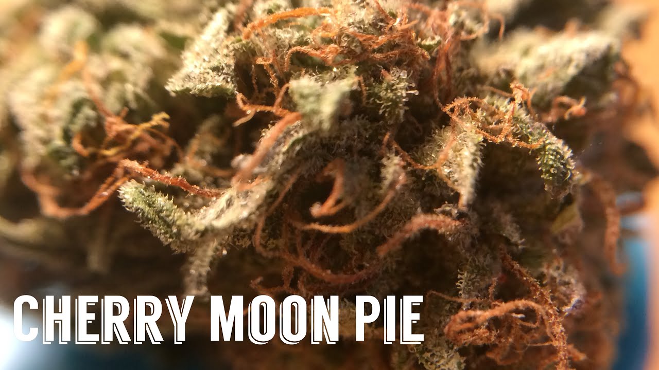 Cherry Moon Pie.