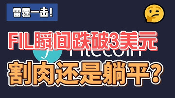 雷霆一击！filecoin瞬间跌破3美元，割肉还是躺平？#filecoi̇n #crypto #ipfs