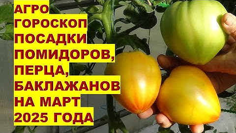 МАРТ 2025: САМЫЕ ЛУЧШИЕ дни для посадки помидоров, сладкого перца, баклажанов!