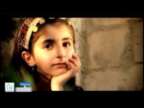 كنت قاعدة ديمة بشار طيور الجنة طيور بيبي 2013