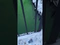 В Барнауле пивоварка позеленела