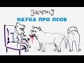 Наука про псов — Научпок