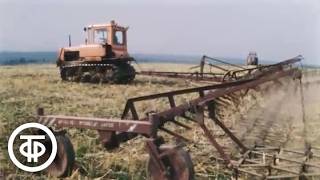 Весомая прибавка. Репортаж из колхоза \