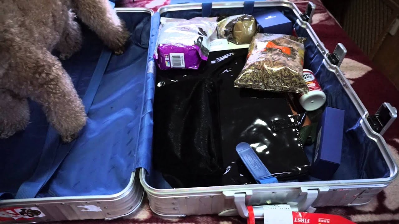 MIA 回国带什么？