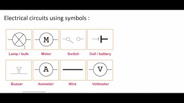 2022 stage 7-p1-science progression test-questions-with answer explained-lower secondary past papers