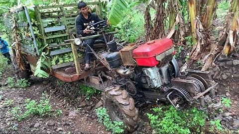 Xe công nông chở chuối lên dốc