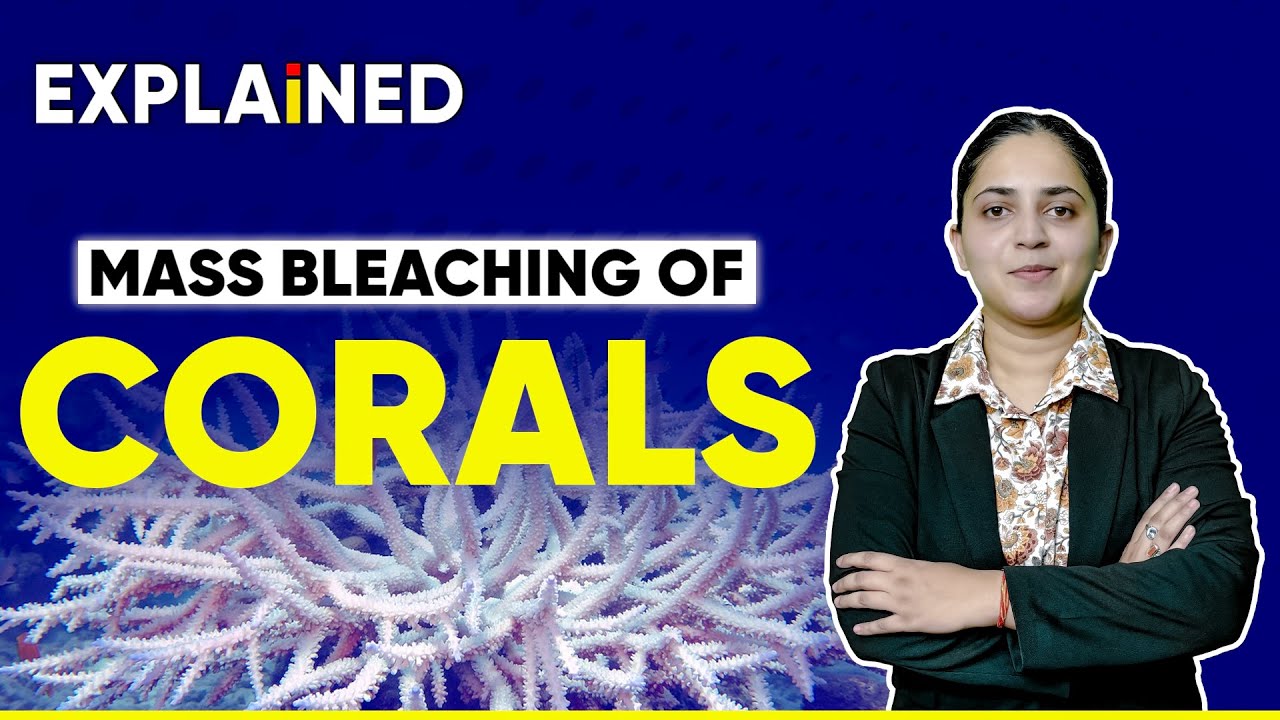 Explained - Mass bleaching of corals