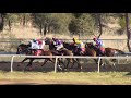 View race 5 video for 2022-11-05