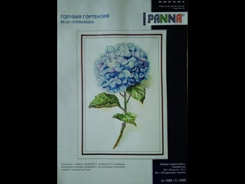 Новый старт Голубая гортензия от Панны
