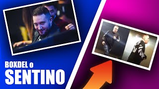 Boxdel Na Temat Koncertów Sentino W Polsce Shot