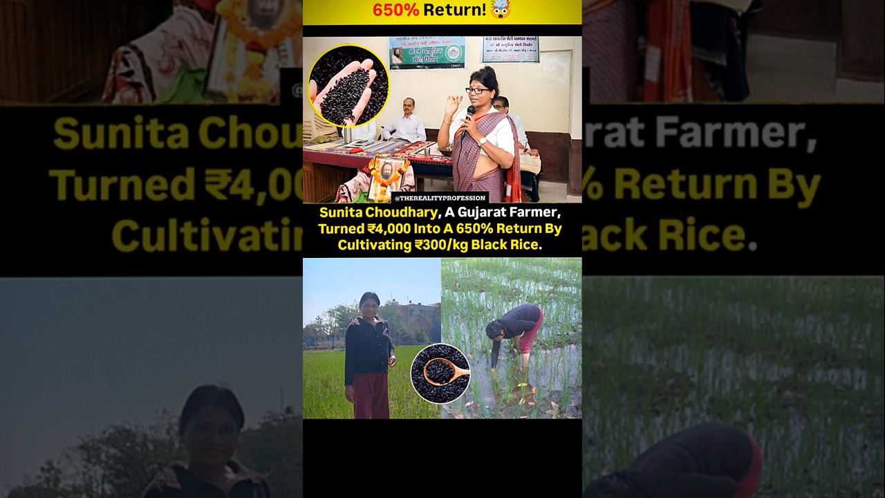 Title:🌾 650% Profit! Gujarat Farmer Earns Big with Black Rice Farming 💰