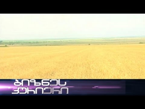 მიწა ყველას - 28.06.2014