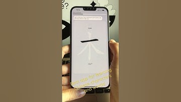 Laoshi helps to learn Chinese characters and words.