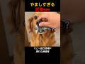 やましすぎる泥棒www