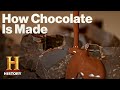 Modern marvels the art of chocolate making from bean to bar season 18  history