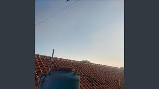 Download Lagu Yaliyali MP3