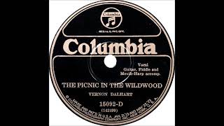 The Picnic in the Wildwood ~ Vernon Dalhart with Guitar, Fiddle, and Mouth-Harp Accomp. (1926)